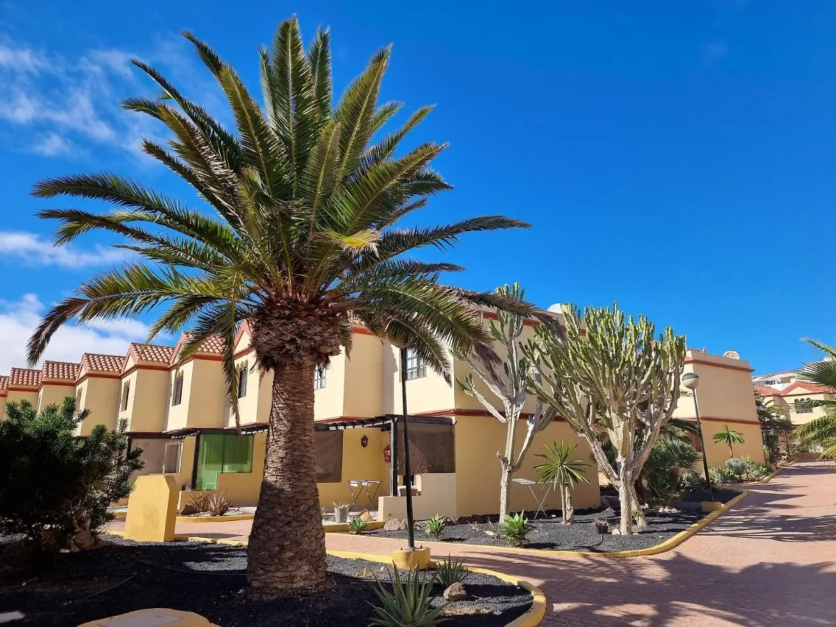 Ocean Forty C Apt. Green Oasis Costa Calma Fue Spain