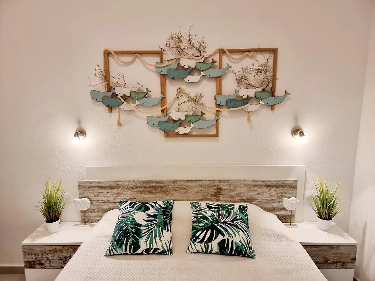 Ocean Forty C Apt. Green Oasis Costa Calma Fue Apartment