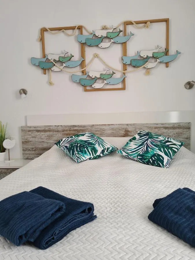 Ocean Forty C Apt. Green Oasis Costa Calma Fue Apartment